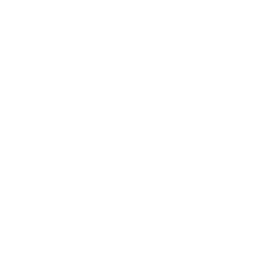 social icon